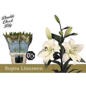 Li La Litouwen Supra