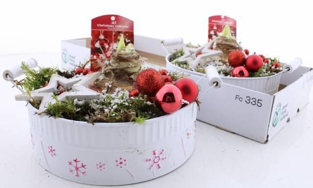 <h4>ARR BOL KNOLGEWAS</h4>