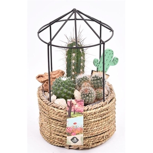 Gaashuis met touw15cm