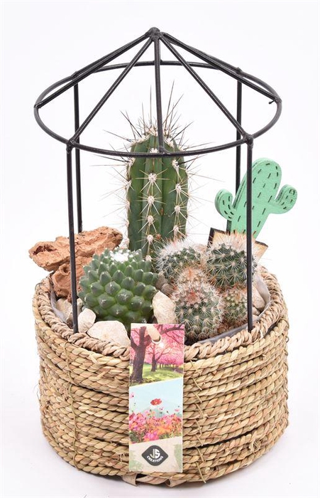 <h4>Gaashuis met touw15cm</h4>