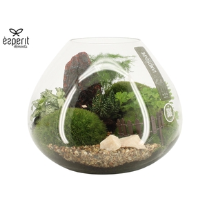 90628: Landscape arrangement