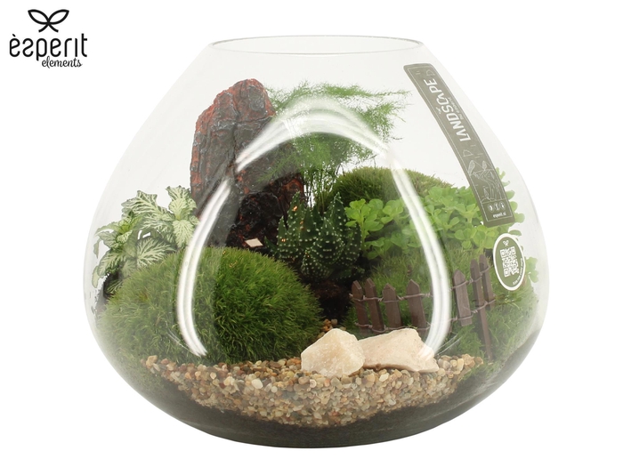 <h4>90628: Landscape arrangement</h4>