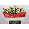 Hypericum Cool Romance Spray
