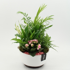 ESCR-2640RZ Essentials