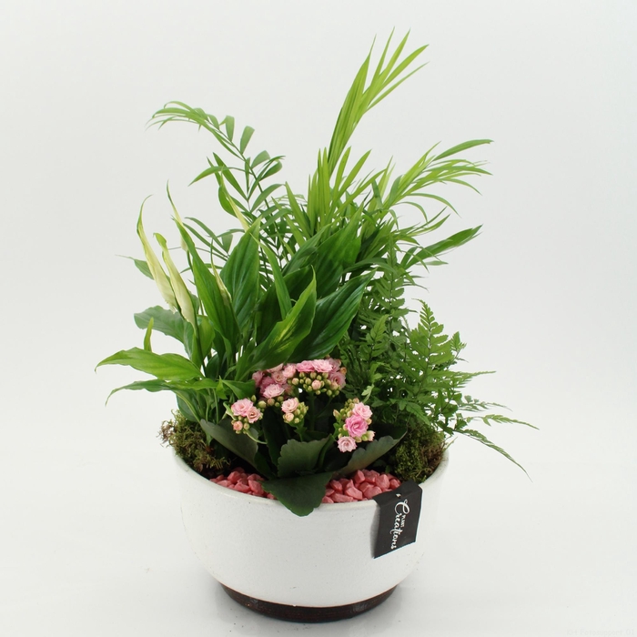 <h4>ESCR-2640RZ Essentials</h4>