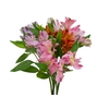 ALSTROEMERIA MISTO 080 CM