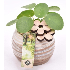 Keramiek sierpot bruin/creme10cm