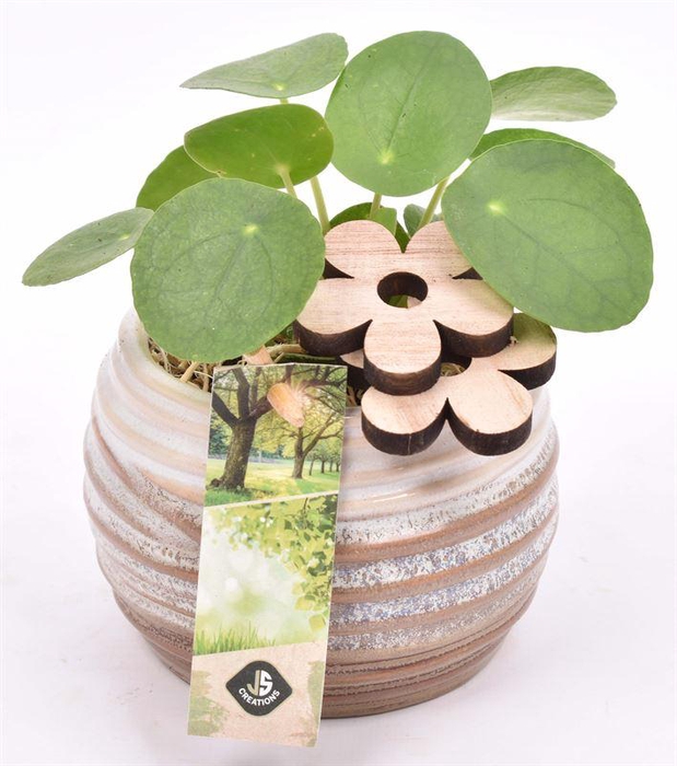 <h4>Keramiek sierpot bruin/creme10cm</h4>