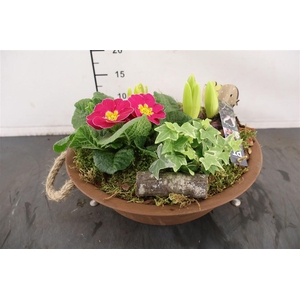 * Arr Ptbm3721 Metalen Schaal Tuinplanten 29 Cm.