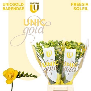 UG Barendse - Soleil