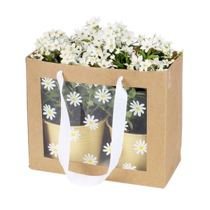 Bag Daisies 24x11xH20cm brown 20/bag
