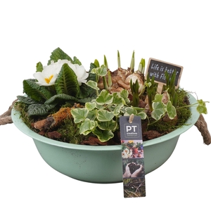 Arr.   Tuinplanten L%