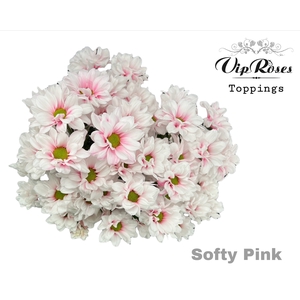 CHR T SOFTY PINK