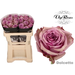 R GR DOLCETTO!