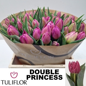 TU DU DOUBLE PRINCES