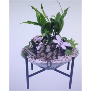 2671 ROZE GLAS OP POOTJE