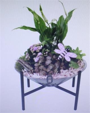 <h4>2671 ROZE GLAS OP POOTJE</h4>