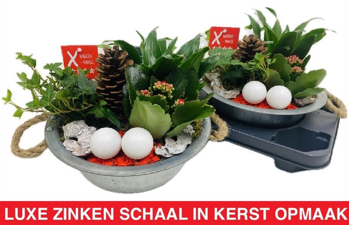 <h4>ARR KERST</h4>