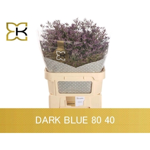 LIM SAF DARK BLUE