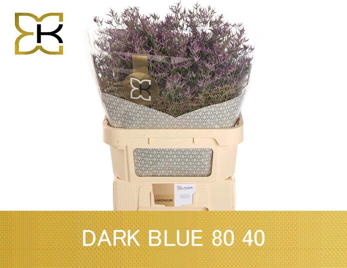 <h4>LIM SAF DARK BLUE</h4>