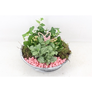 arr2 PL - Zink antiek schaal - roze
