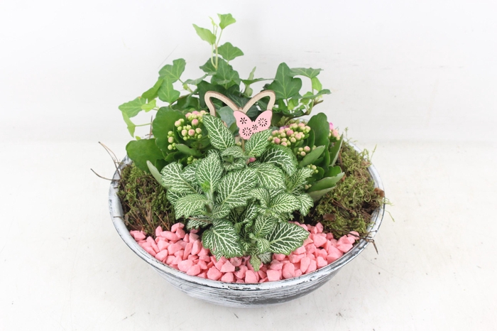 <h4>arr2 PL - Zink antiek schaal - roze</h4>