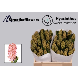 HYAC SWEE INVITATION