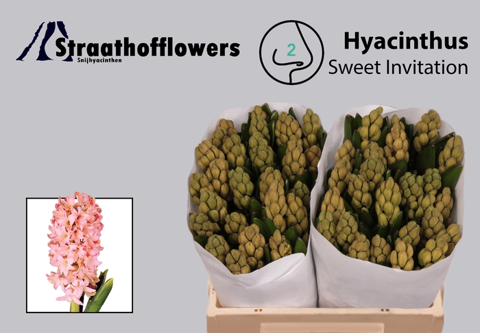 <h4>HYAC SWEE INVITATION</h4>