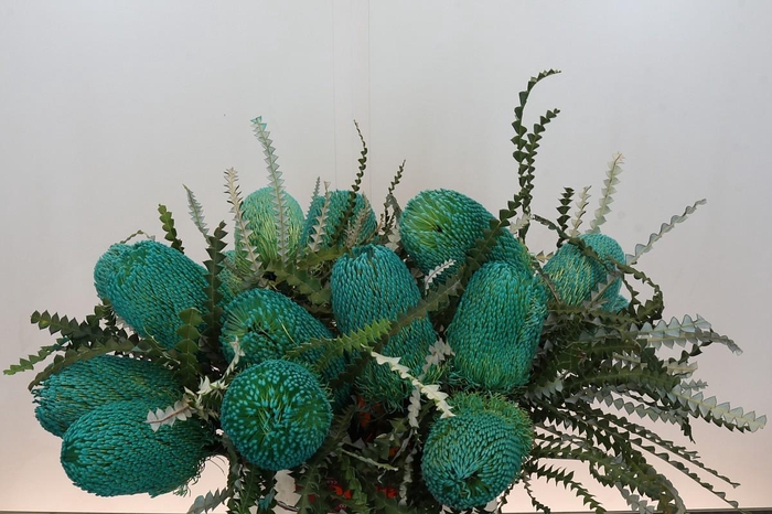 <h4>Banksia Speciosa Green</h4>