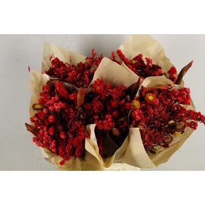 Df Bouquet 50cm Neon Red