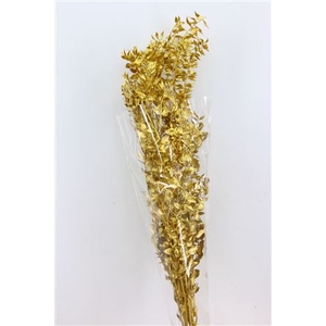 Dried Ruscus Nat Gold Glitter