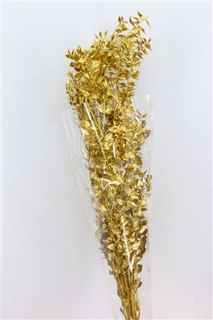 Dried Ruscus Nat Gold Glitter