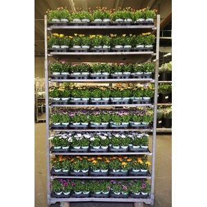 arr8 Osteo Mixk 1 Kleur Per Tray