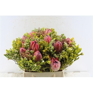 Protea Boeket 3 Protea