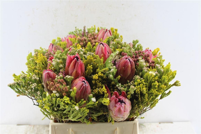 <h4>Protea Boeket 3 Protea</h4>