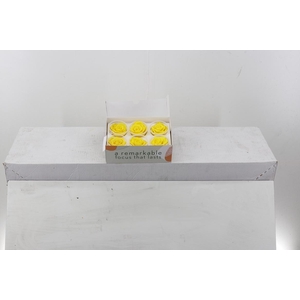 Rosa Preserved Yellow