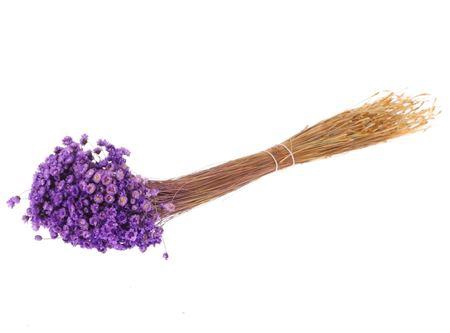 Bunch Glixia Slv 80g L40