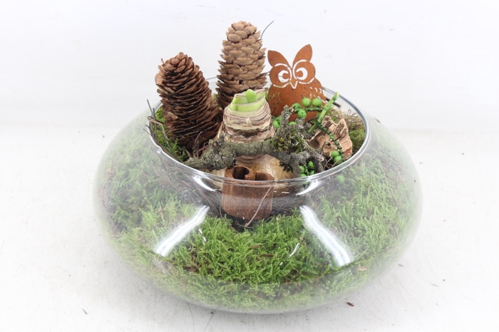 <h4>arr4 Amaryllis JS - Glas UFO schaal</h4>