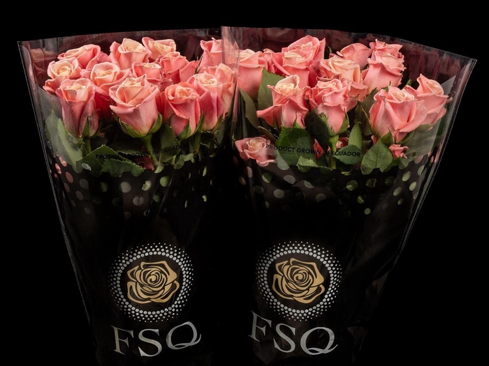 <h4>R GR Miss Piggy Box</h4>