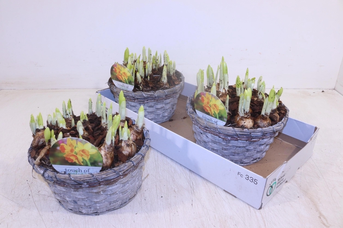 <h4>ARR N TETE A TETE</h4>