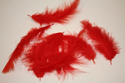 PLUIM MARABOU 12GR ROOD