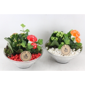 arr2 PL - Glas schaal ribbel x3 - rood/wit