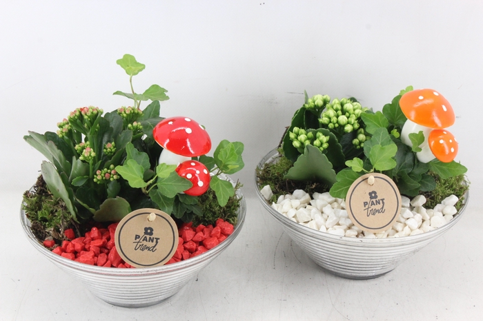 <h4>arr2 PL - Glas schaal ribbel x3 - rood/wit</h4>