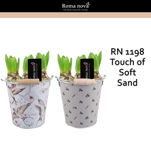 1198 - Touch of Soft Sand (Hyacint)