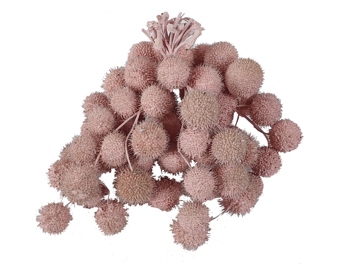 Small ball per bunch in poly Covered Light Pink