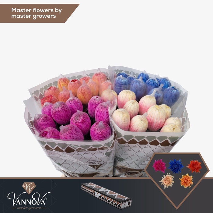 <h4>Chr G Antonov Mix</h4>