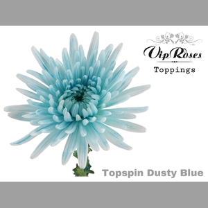 CHR G TOPSPIN DUSTY BLUE