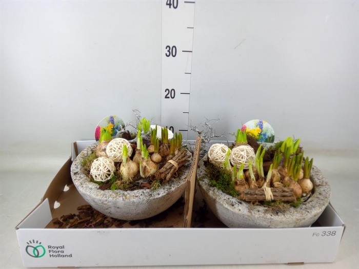 <h4>Arr.   Bol/Knolgewas L%</h4>