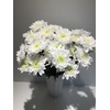 Chr Spray White Cristallo
