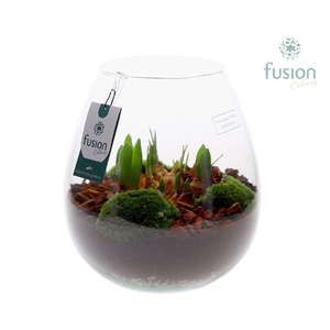 Green Bottle Abby Large met Bollen mix